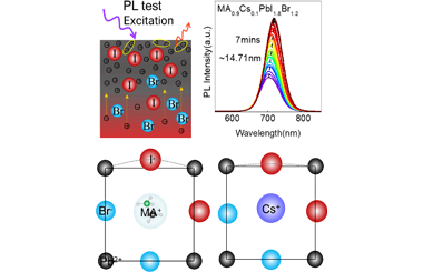 Contributions of Cs and Rb on Inhibiting Photo-induced Phase Segregation and Enhancement Optoelectronic Performances of MA1-yXyPbI1.8Br1.2 (X = Cs, Rb) Single Crystals 2022-0089